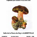 Exposition de champignons, plantes et roches à Albertville