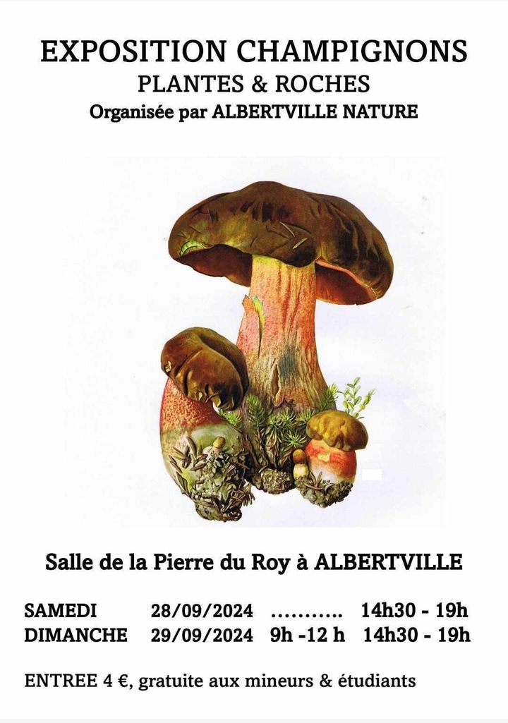 Exposition de champignons, plantes et roches à Albertville